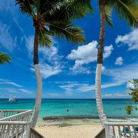 tripadvisor français punta cana.